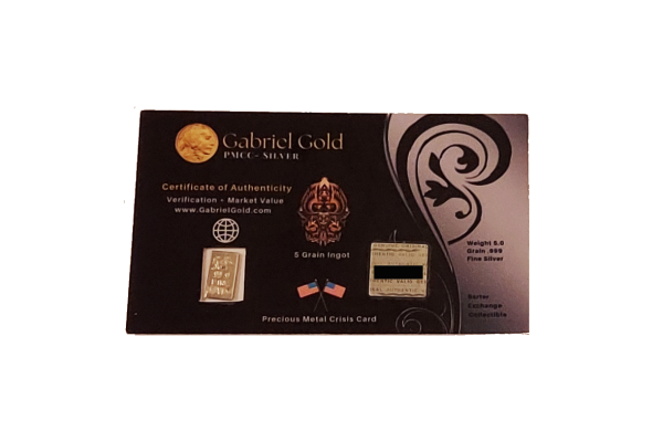 PMCC 5gn Silver Ingot
